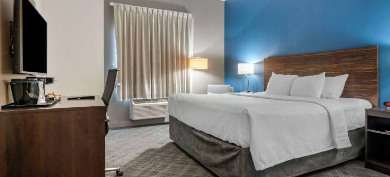 圣路易斯 - 机场舒适酒店(Comfort Inn St Louis Airport)图片