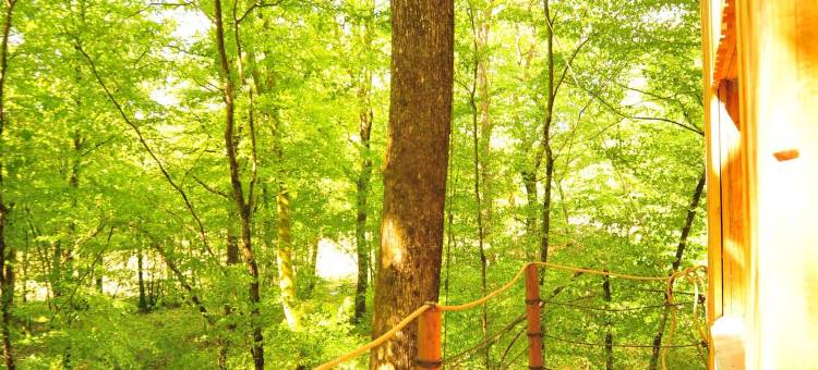 福乐托太空小屋酒店(Cabanes de l'Espace Fouletot)图片