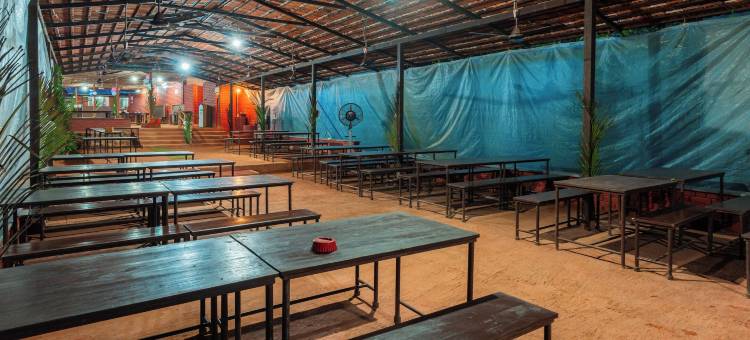 Treebo 岩谷(Treebo Rock Valley)图片