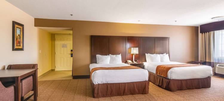 舒适套房酒店(Comfort Inn & Suites)图片