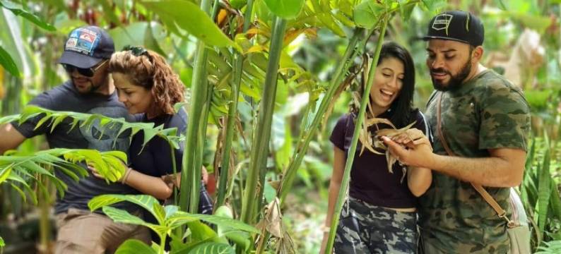 山景酒店(Hotel Vista del Cerro)图片