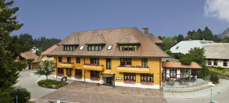 阿朋伯力克比亚翁康体酒店(Bio- und Wellnesshotel Alpenblick)图片