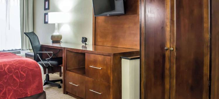 舒适套房酒店-大学科研园(Comfort Suites University - Research Park)图片