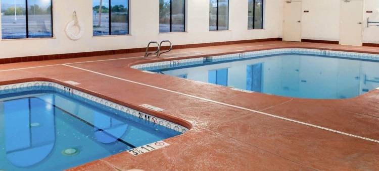 索科罗舒适套房酒店(Comfort Inn & Suites)图片