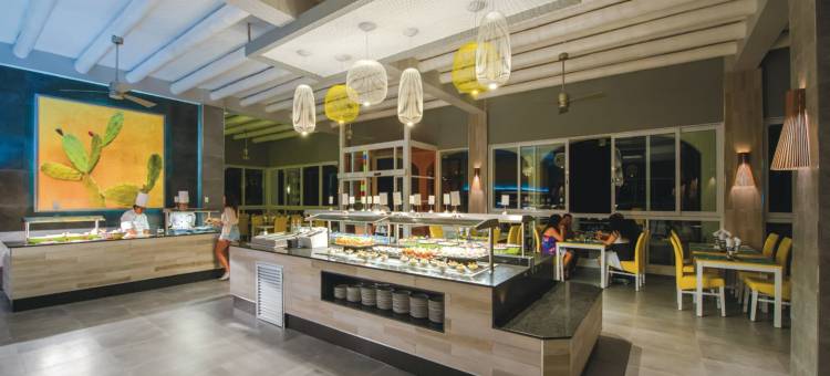 卡波圣卢卡斯悦宜湾奢享酒店-全包(Riu Palace Cabo San Lucas - All Inclusive)图片