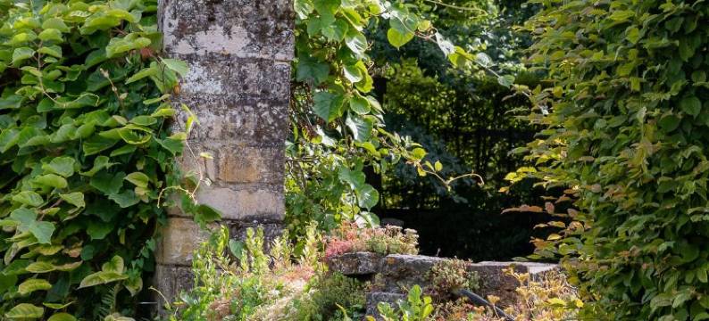 堡垒宅邸民宿及法式住宿(Domaine de la Maison Forte)图片