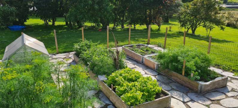 杜根伯格(Dugneberg)图片