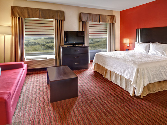 希尔顿欢朋套房酒店-莱巴嫩