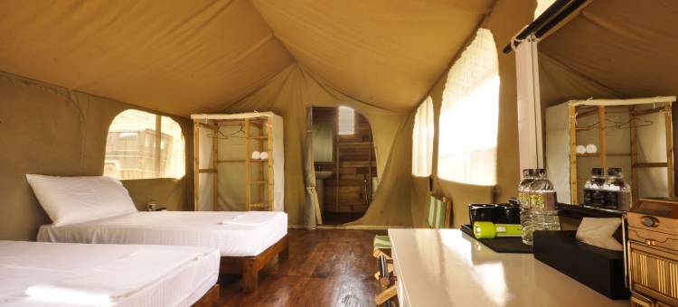 野生露营纳克尔斯(Wild Glamping Knuckles - Thema Collection)图片