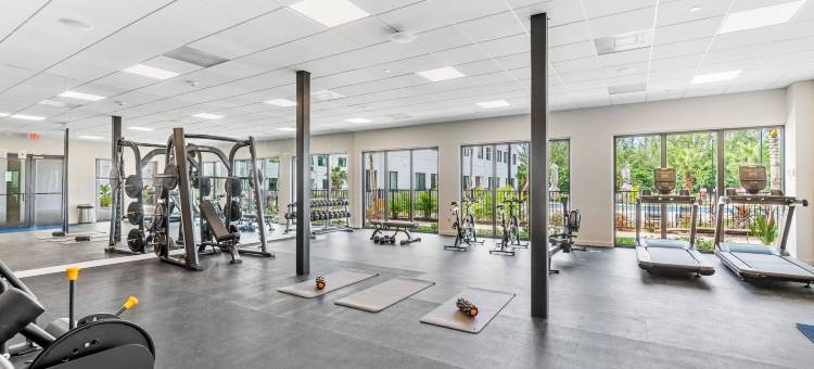 总督村七英里海滩走廊(Governors Village Seven Mile Beach Corridor)图片