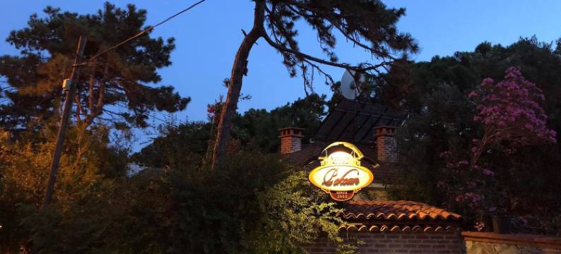 佩肯酒店(Pekcan Otel)图片