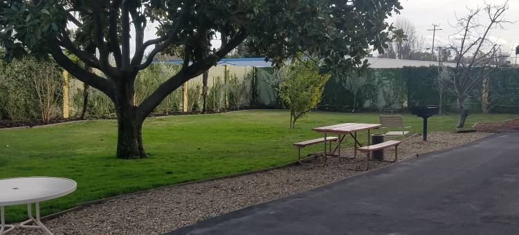 洛迪戴斯套房酒店(Days Inn & Suites by Wyndham Lodi)图片