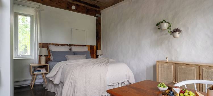 猫头鹰巢套房公寓(Owl's Nest Suites)图片