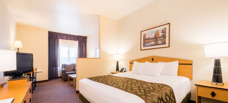 格雷特瀑布水晶套房酒店(Crystal Inn Hotel & Suites - Great Falls)图片