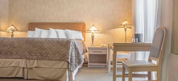 维法斯维罗德威酒店(Rodeway Inn Fallsview)图片