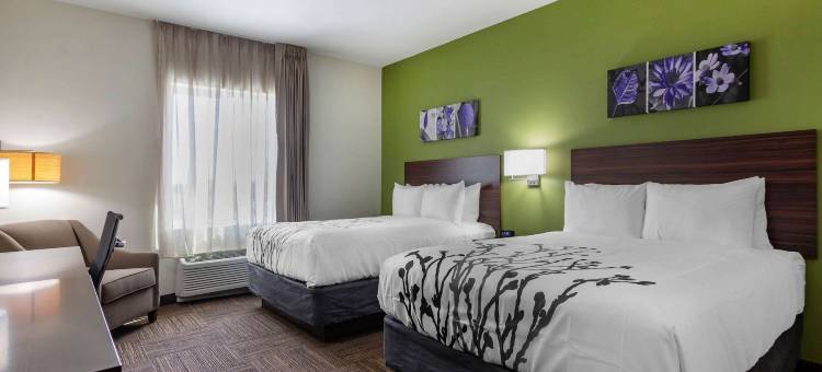 坦帕南部舒眠套房酒店(Sleep Inn & Suites Tampa South)图片