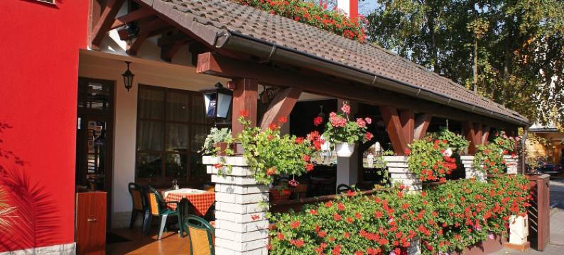 科罗纳膳食公寓及餐厅酒店(Korona Pension and Restaurant)图片