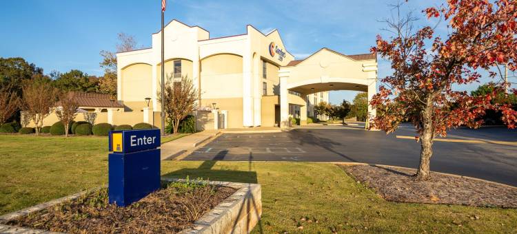 欧佩莱卡-奥本舒适酒店(Comfort Inn Opelika - Auburn)图片