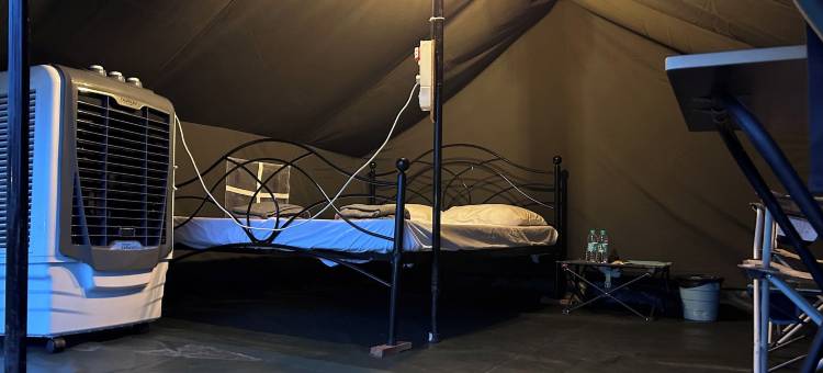 荒野丛林营地(Wilderness Jungle Camp)图片