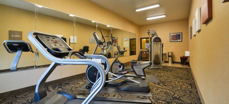 舒适套房酒店(Comfort Suites Bay City)图片