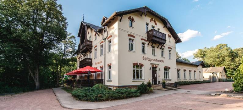 赫斯特里切斯普兹格德穆酒店(Historische Spitzgrundmühle)图片