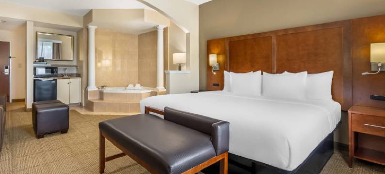 默特尔比奇中央舒适套房酒店(Comfort Suites Myrtle Beach Central)图片