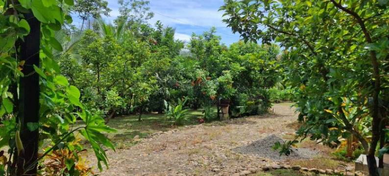 巴苏平房(Bungalows Batsu)图片