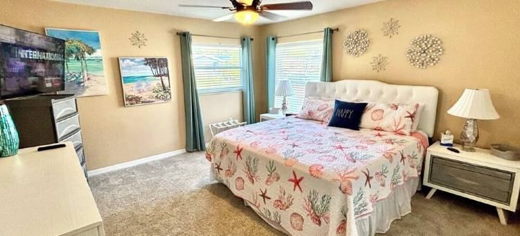 Relaxing Pool Home - Palm Harbor - 3Br - 6Ppl图片