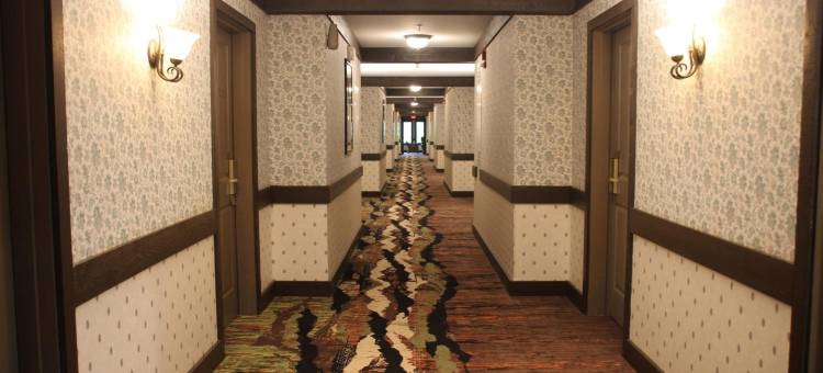 春之楼酒店(Spring House Inn)图片