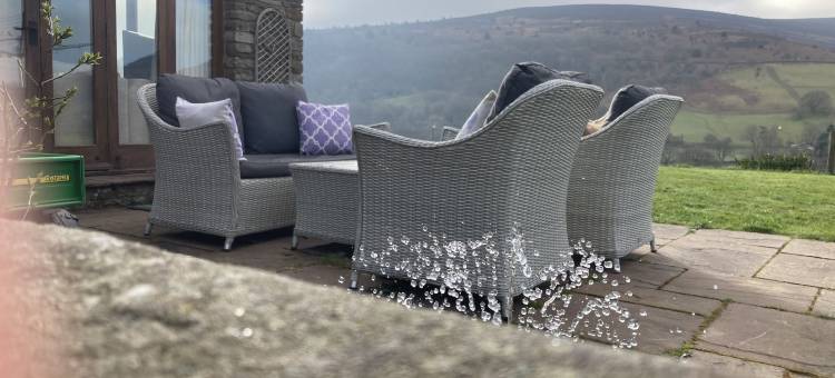 西岭公寓(The Celyn)图片