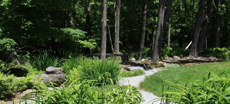 肉荳蔻酒店(The Nutmeg Inn)图片