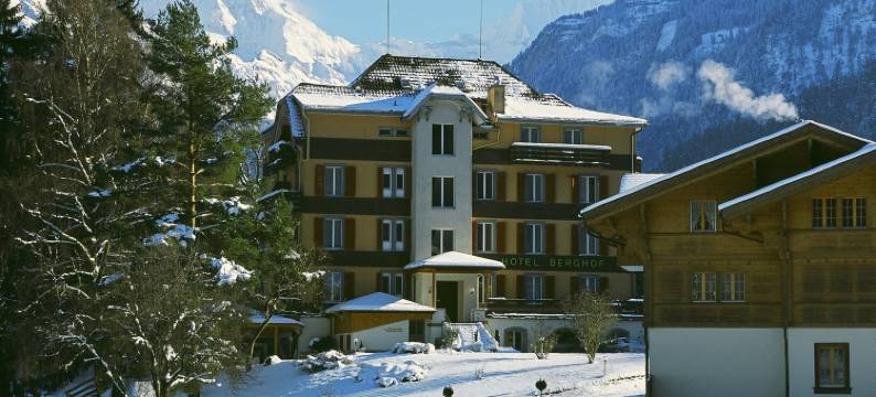 贝格霍夫酒店(Hotel Berghof Amaranth)图片