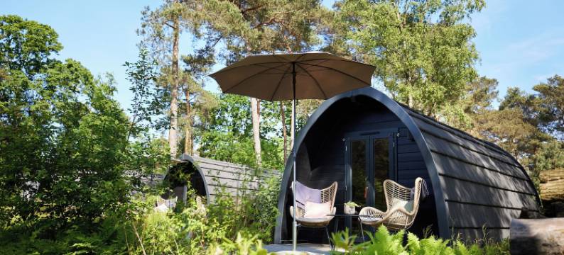 坎皮纳斯塔特(Kampina Staete)图片