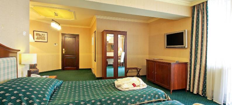 参议员酒店暨会议中心(Hotel Senator Konferencje & Spa)图片