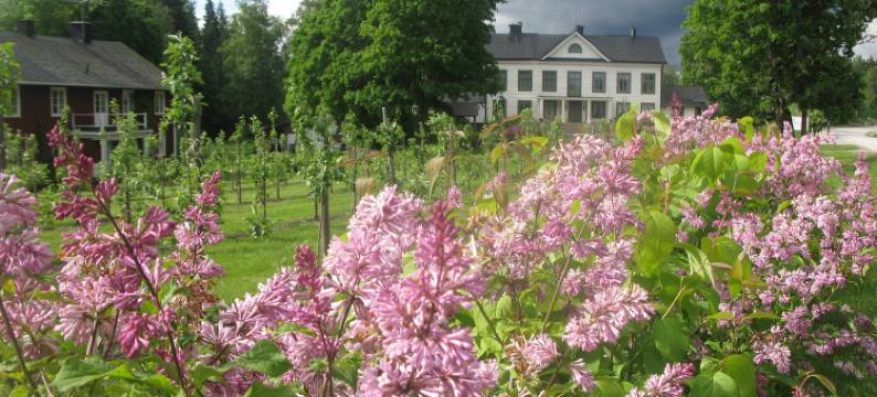 希科夫斯贺嘉德酒店(Sikfors Herrgård)图片