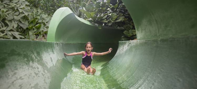 列斯豪斯德布鲁叶中央公园酒店(Center Parcs les Hauts de Bruyères)图片