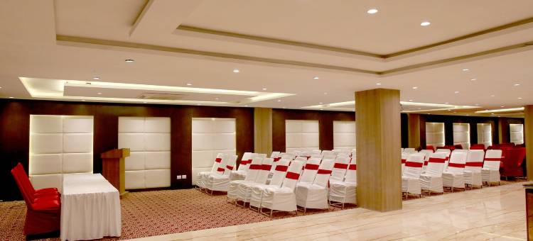 乌代布尔罗伊酒店(Le Roi Udaipur)图片