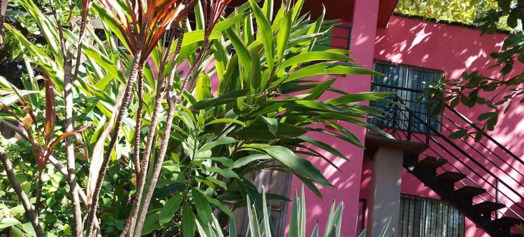 唐蒙乔的庭院 - 沙尔帕(El Patio de Don Moncho - Shalpa)图片