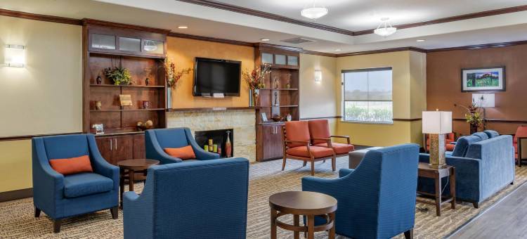 纳瓦索塔舒适套房酒店(Comfort Inn & Suites Navasota)图片