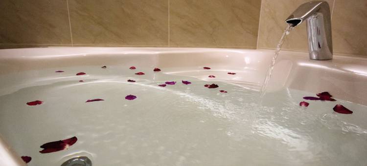 金沙商务旅馆图片