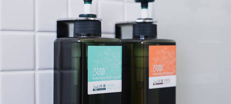 波丽露图片