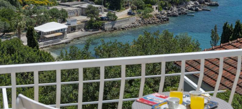 玫瑰客房旅馆(Guest House Rooms Rose)图片