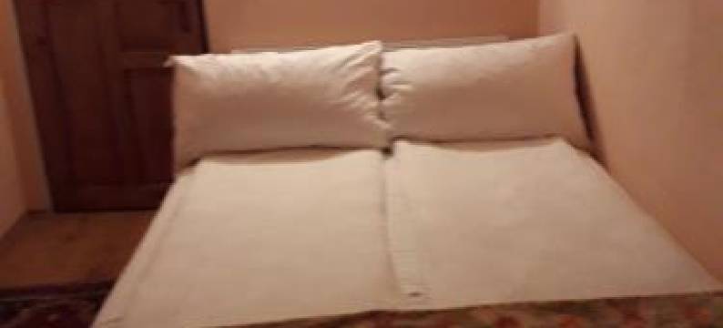 Casa cu Muscate图片