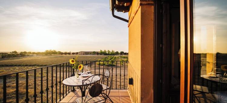 阿巴拉斯维尼亚斯提德拉 - 乡村酒店(Abba las Viñas Tiedra - Hotel Rural)图片