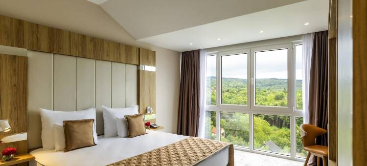 瑞享 Fruske Terme 度假水疗酒店(Movenpick Resort and Spa Fruske Terme)图片