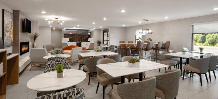 温德姆格林维尔伍德拉夫路拉昆塔温德姆酒店套房(La Quinta Inn & Suites by Wyndham Greenville)图片