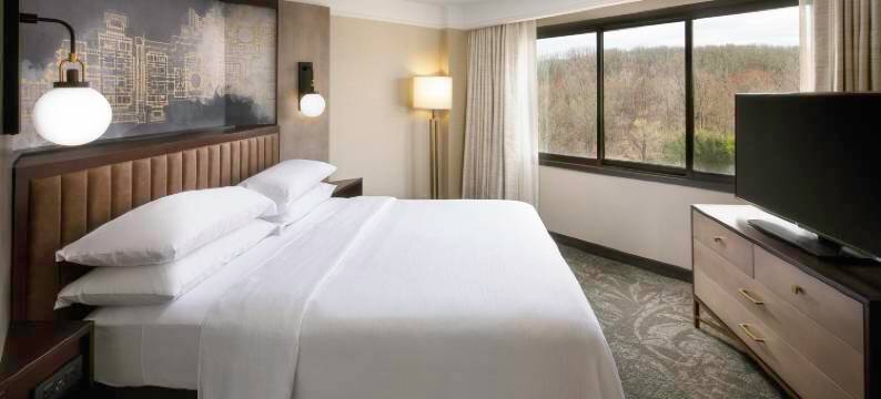 希尔顿安泊酒店-泰森斯角(Embassy Suites by Hilton Tysons Corner)图片