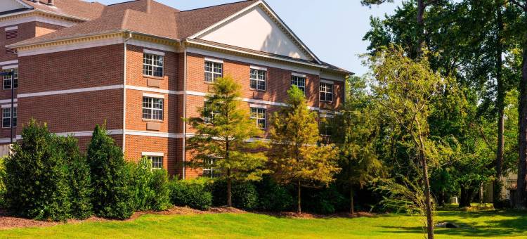 威廉斯堡万豪SpringHill酒店(SpringHill Suites Williamsburg)图片