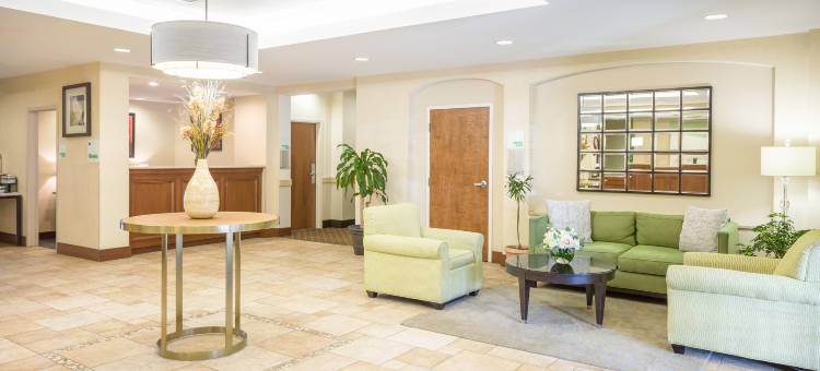 Holiday Inn 曼彻斯特机场(Holiday Inn Manchester Airport)图片