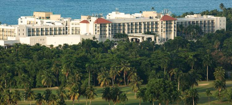 玛格丽塔维尔温德姆度假俱乐部酒店 - 利欧马(Margaritaville Vacation Club - Rio Mar)图片